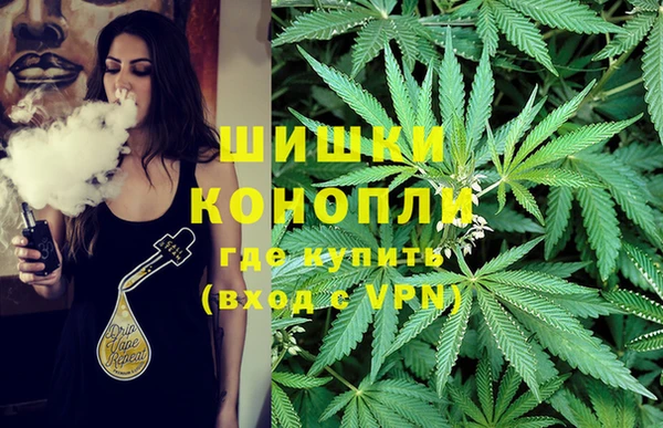 молекула духа Баксан