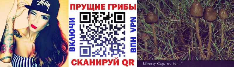продажа наркотиков  ОМГ ОМГ tor  Псилоцибиновые грибы Psilocybine cubensis  Хасавюрт 